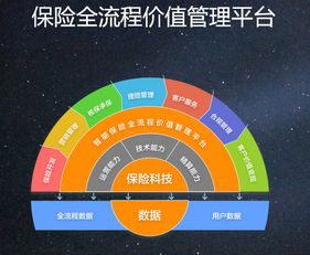 專訪大特保CTO林洪祥 保險科技賦能B端才是“主賽道”